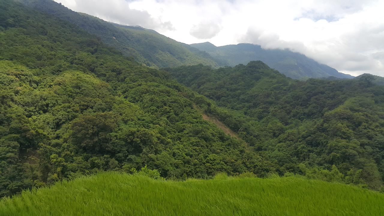مدينة هوالين 五葉松民宿-電梯民宿 近慈濟中小學及慈科大及人社院 المظهر الخارجي الصورة